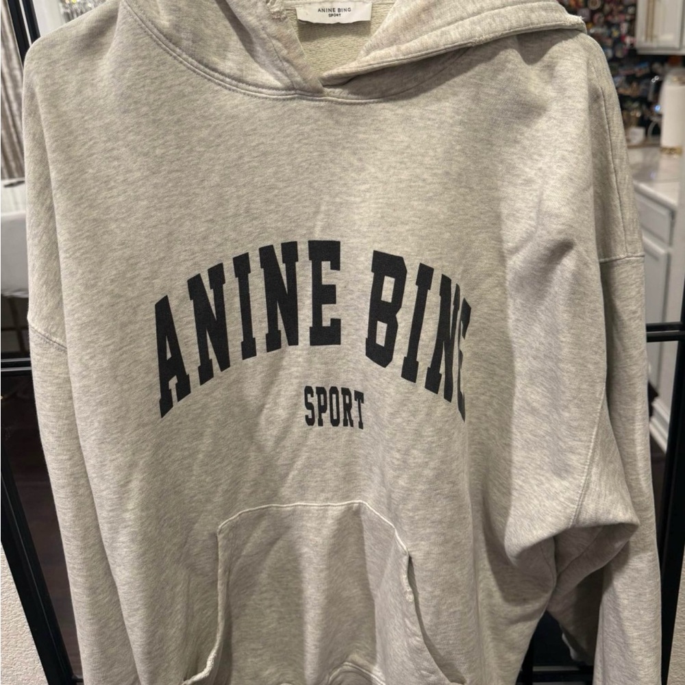 Anine Bing Sport Light Gray Hoodie
